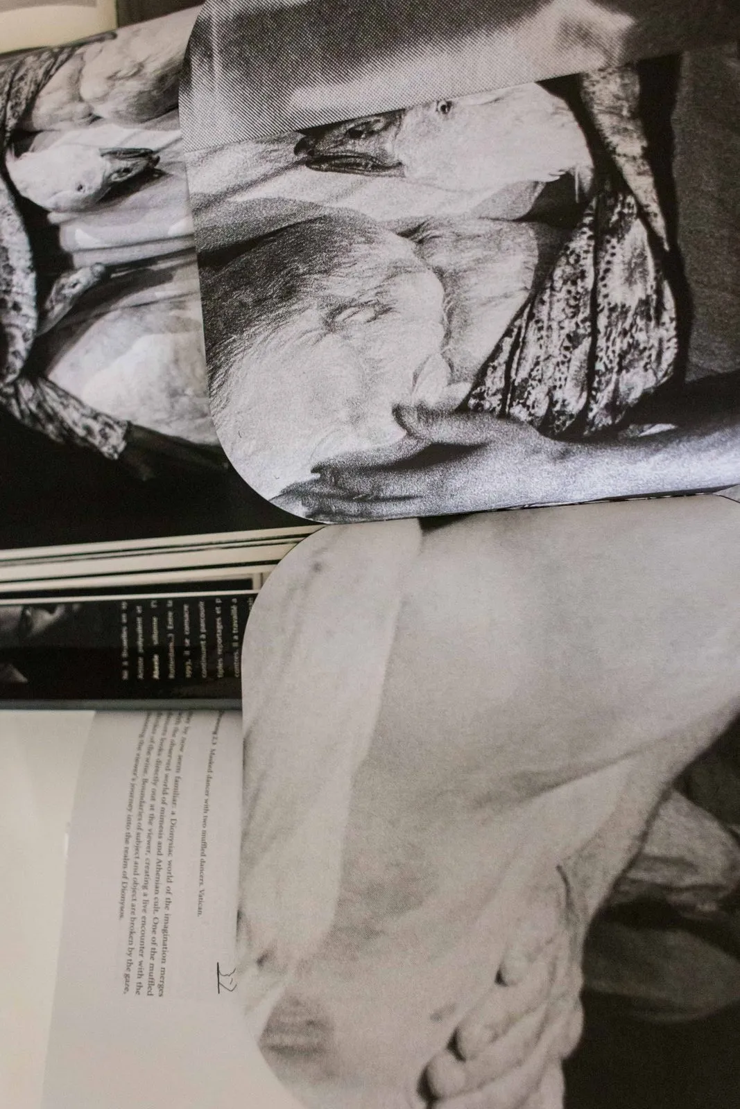 A close-up of MMDC3 among other open books