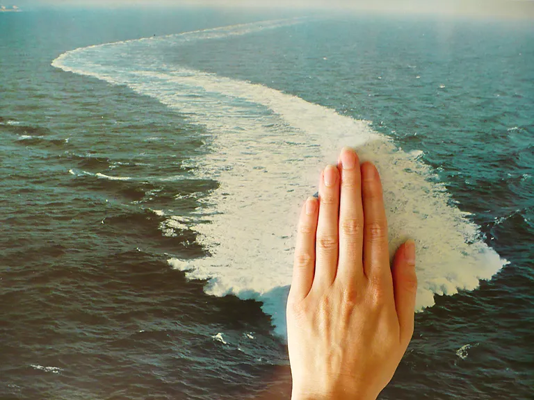 WAKE, 2008