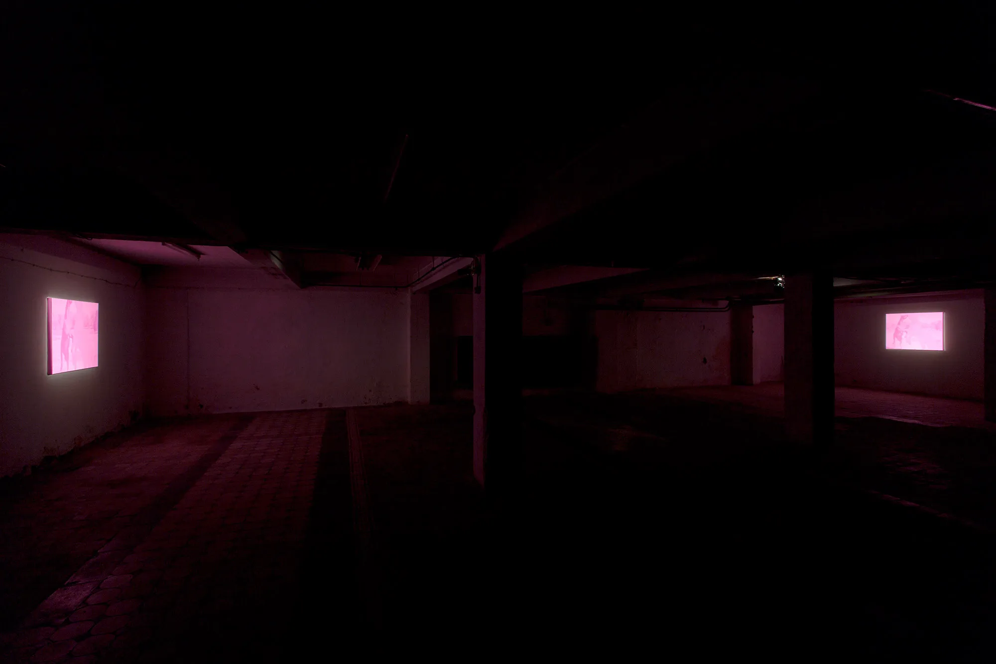 WHO'S THERE, 2014