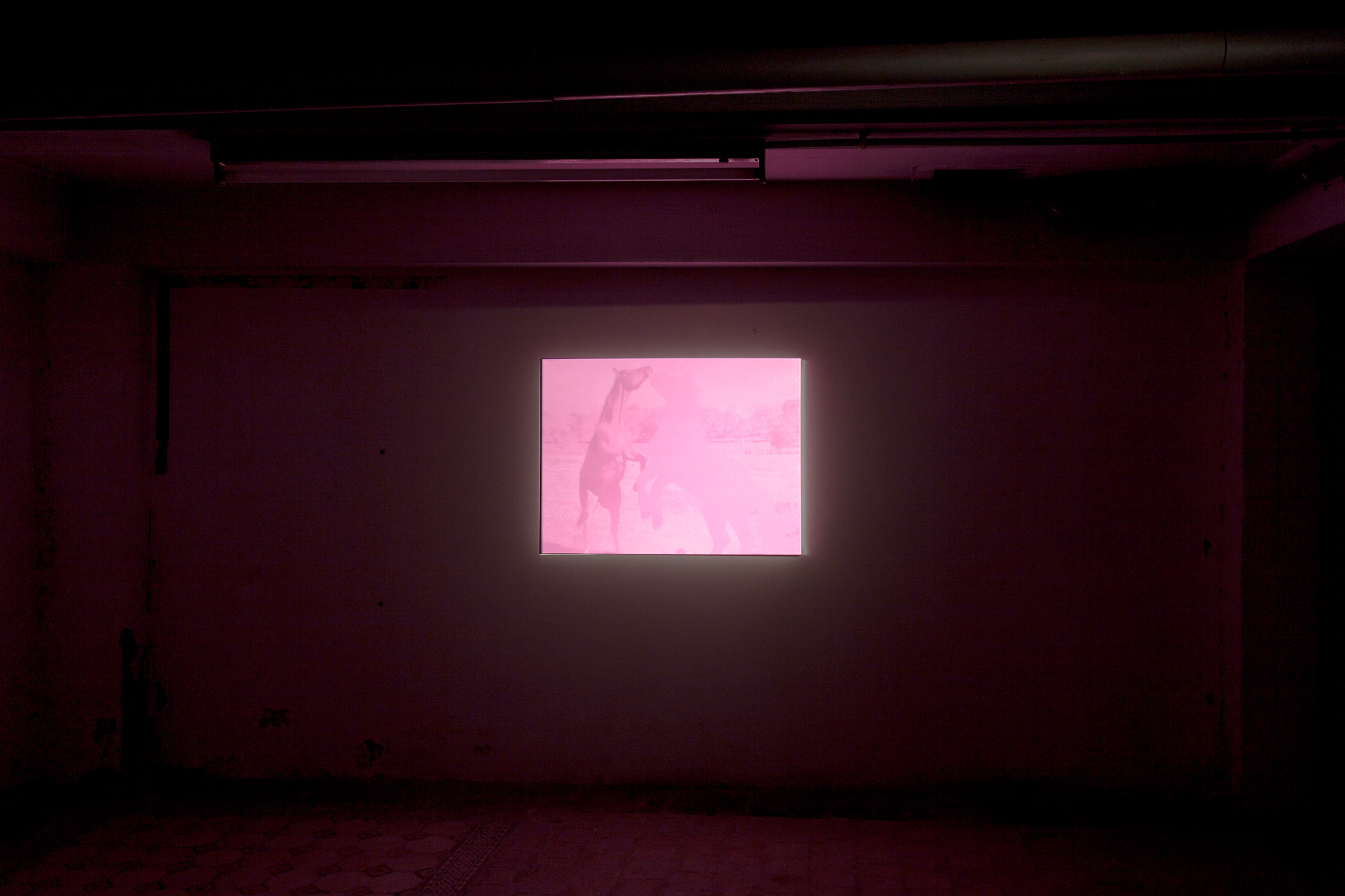 Untitled (Various titles), 2014