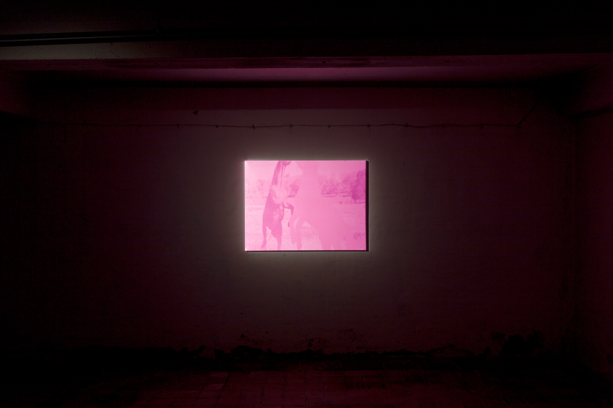 Untitled (Various titles), 2014