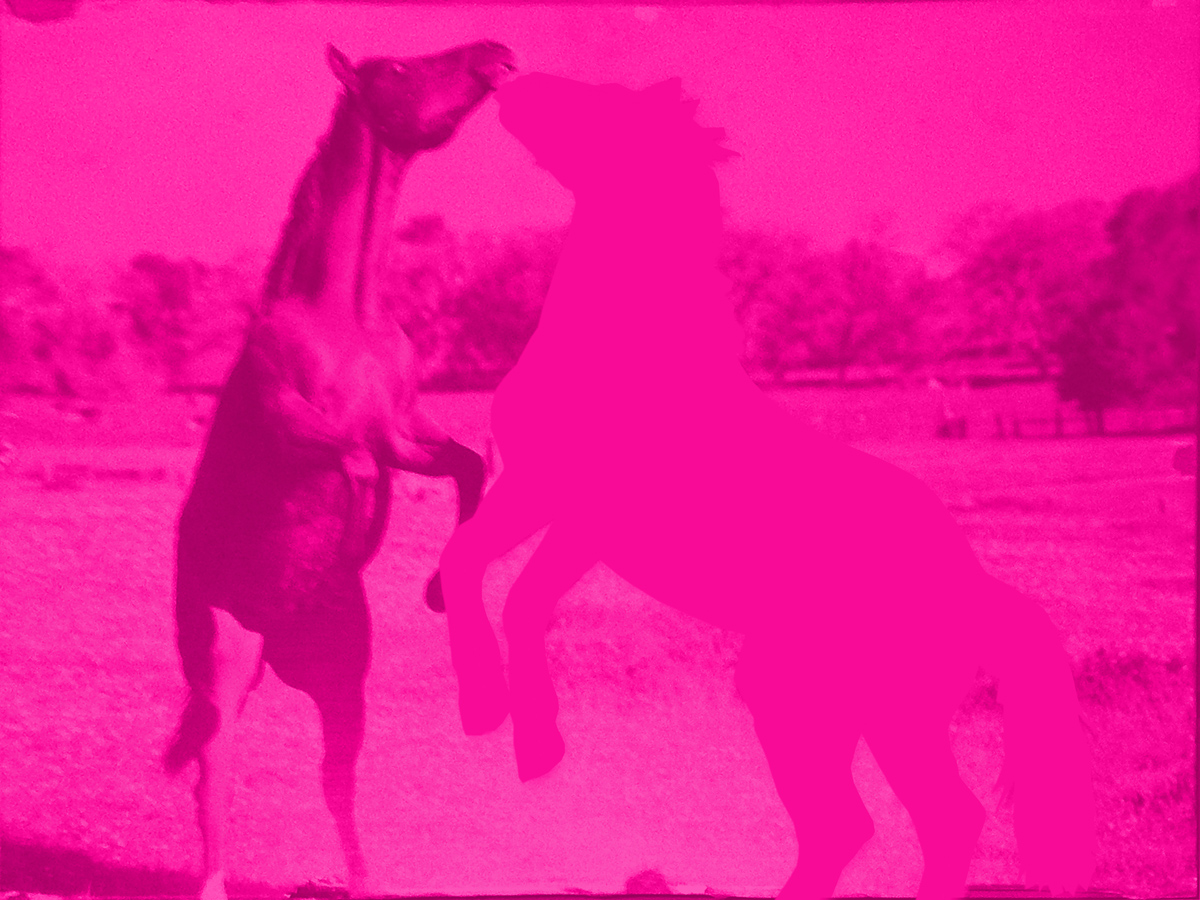 Untitled (Various titles), 2014