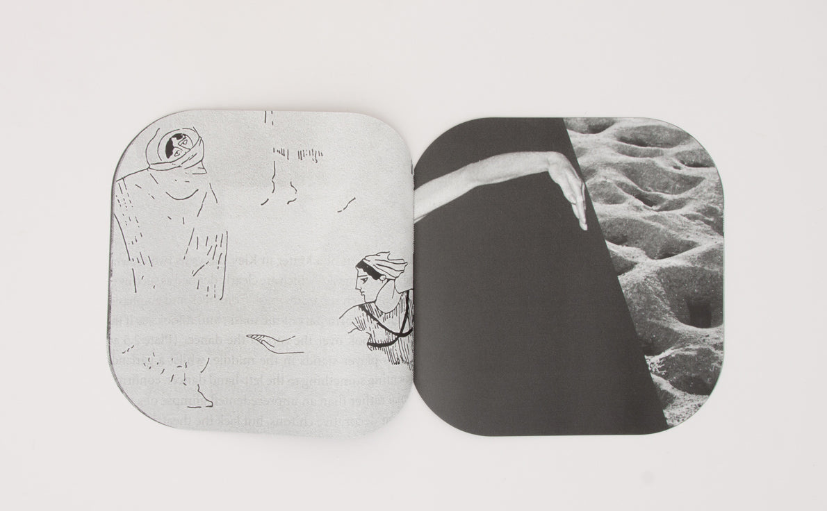 MMDC3, spread: hands resting on a white swan