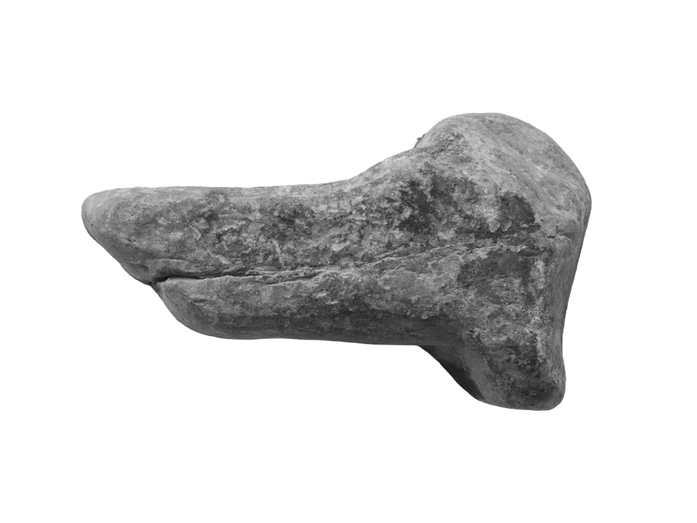 Duck-rabbit rock