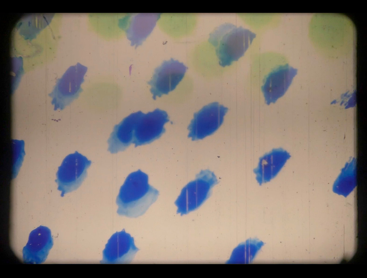 Drawing sound, 2019. 16mm film, color, no sound, 14:36 minutes.